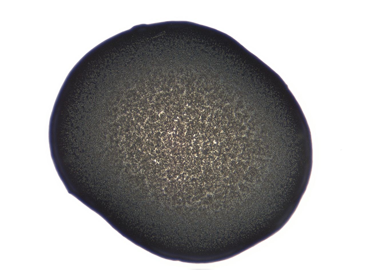 04ag_B2_ImagerDefaults_3.jpg