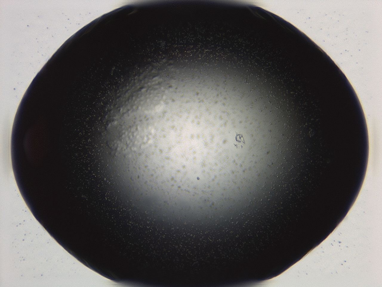04ag_D8_ImagerDefaults_3.jpg