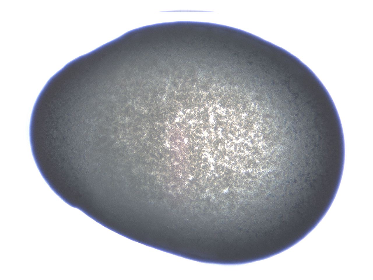 04ag_D10_ImagerDefaults_3.jpg