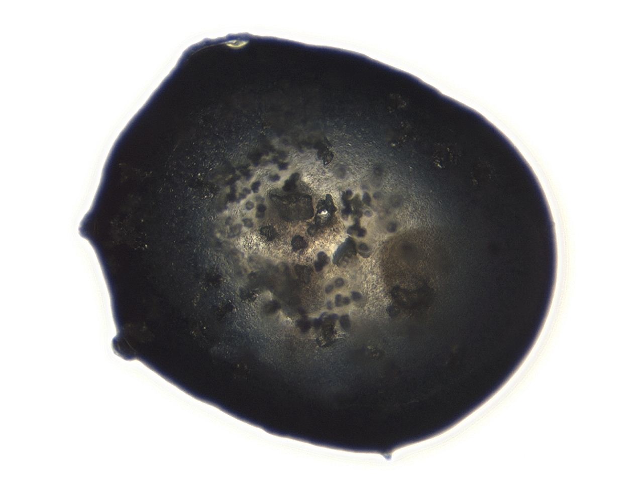 04ag_D11_ImagerDefaults_3.jpg