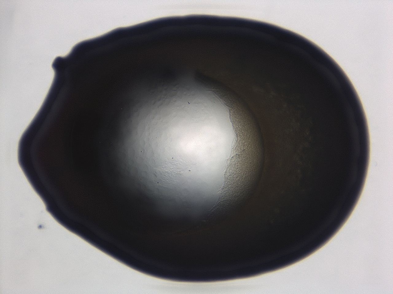 04ag_D12_ImagerDefaults_3.jpg
