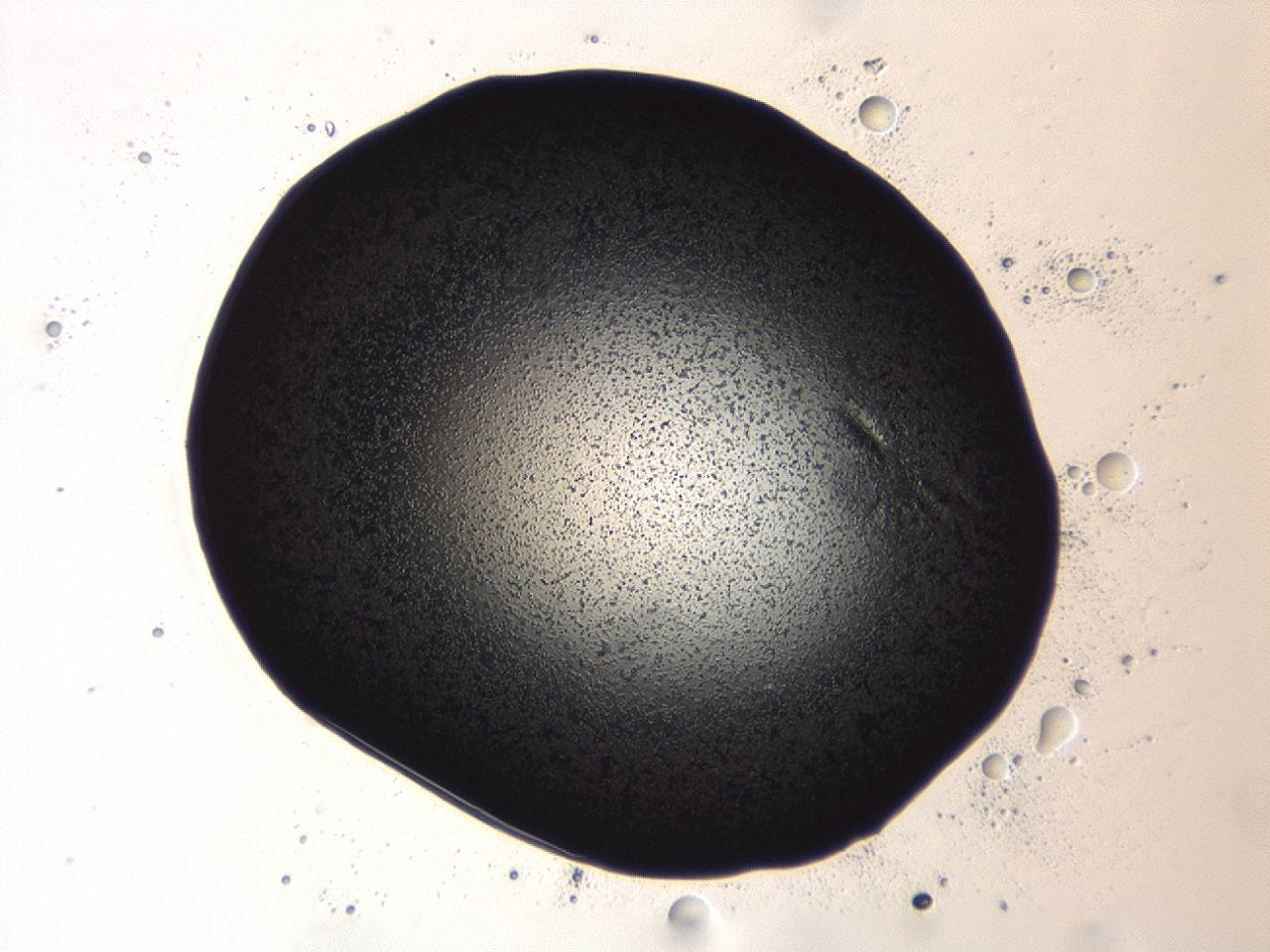 04ag_A1_ImagerDefaults_3.jpg