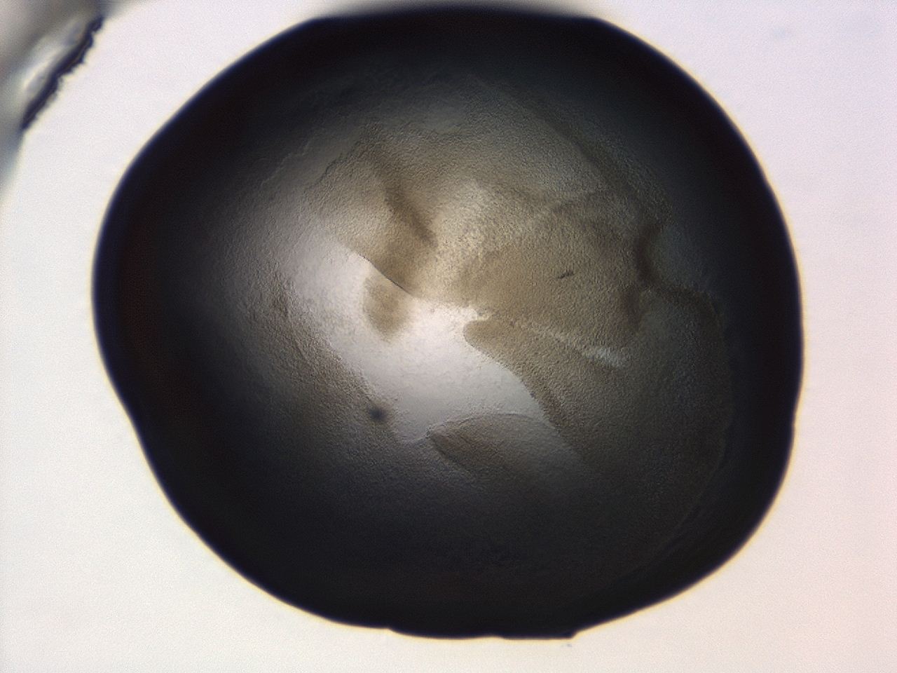 04ag_B10_ImagerDefaults_3.jpg
