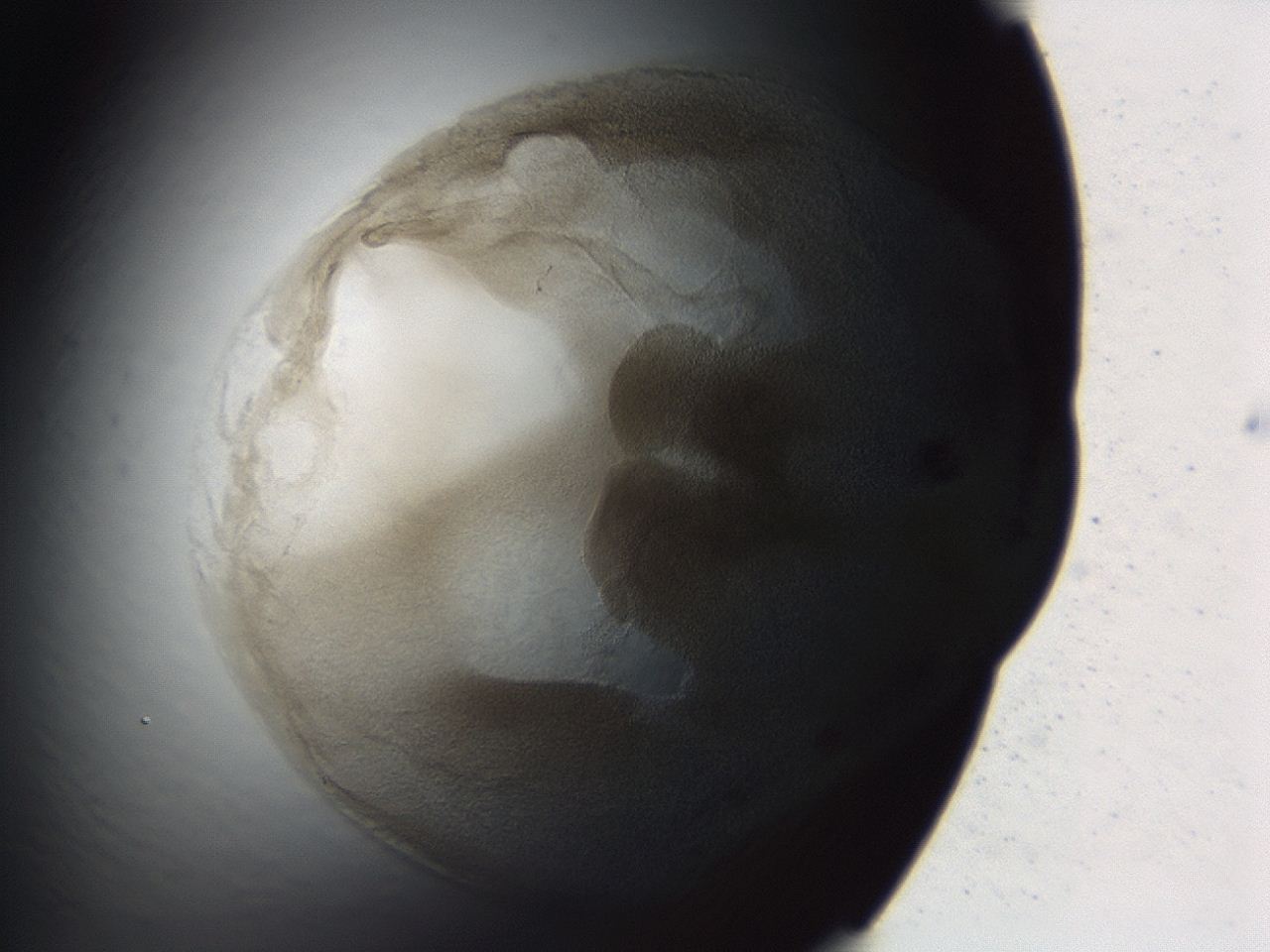04ag_B11_ImagerDefaults_3.jpg