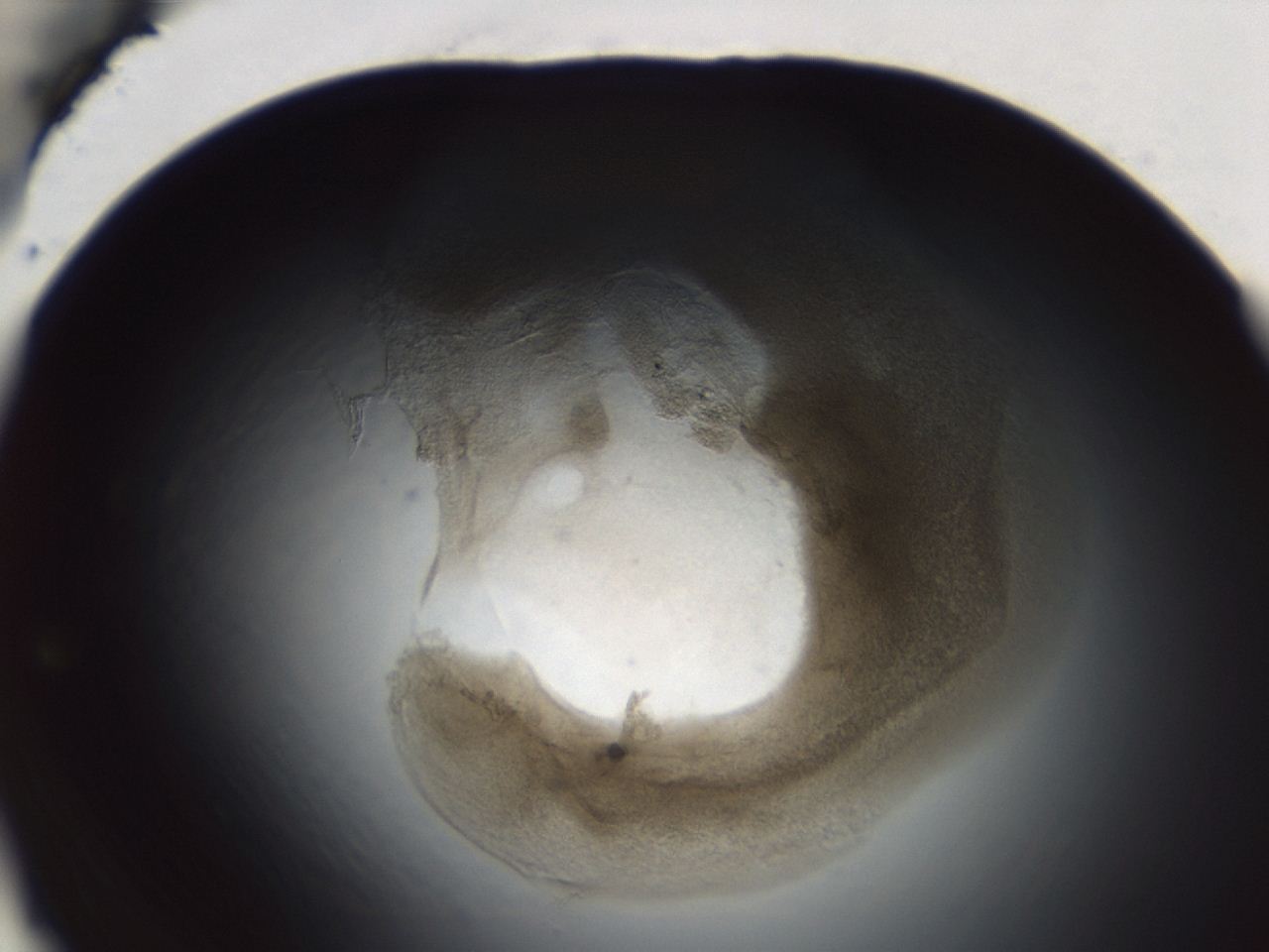 04ag_B12_ImagerDefaults_3.jpg