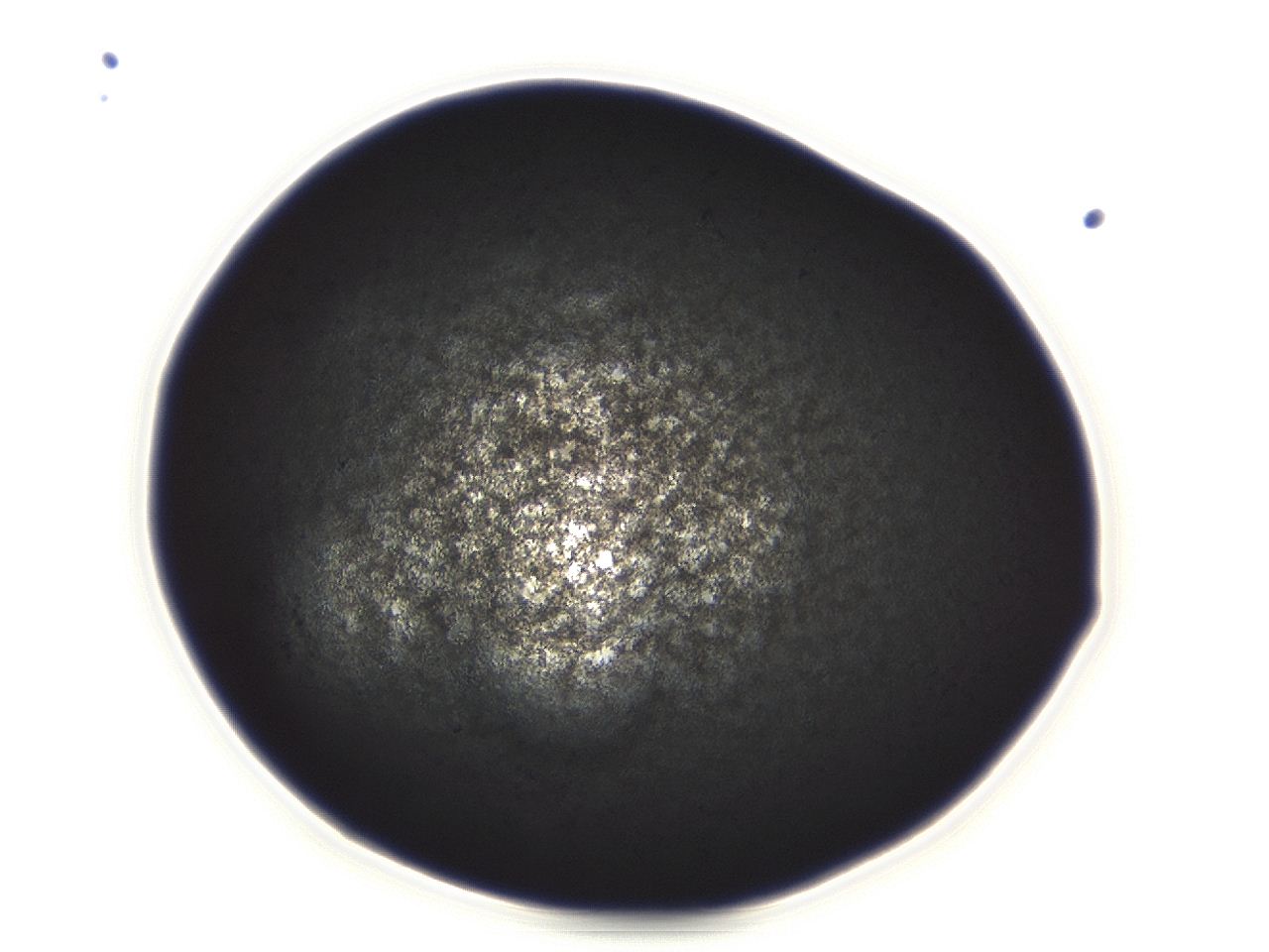 04ag_E3_ImagerDefaults_3.jpg