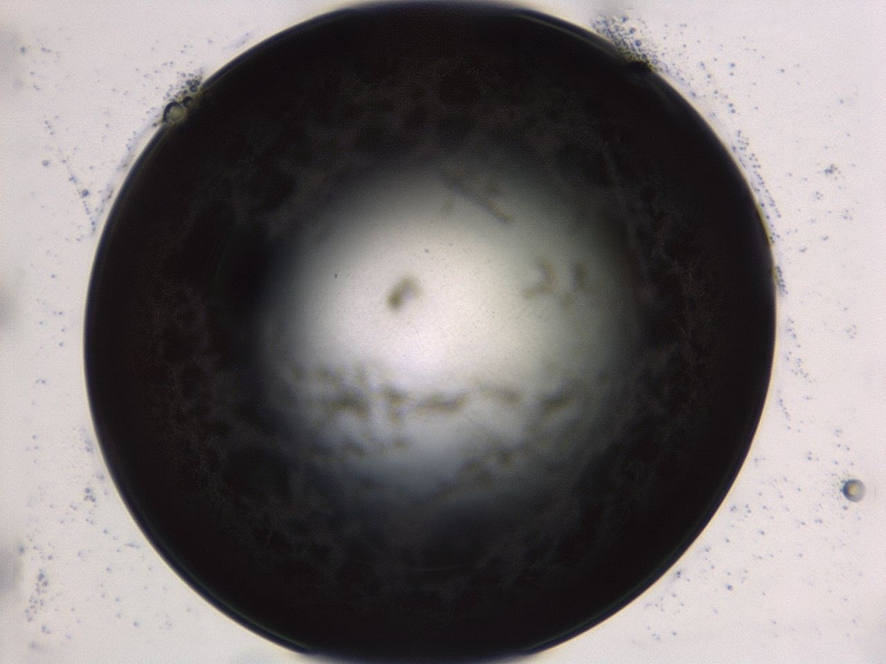 04ag_E4_ImagerDefaults_3.jpg