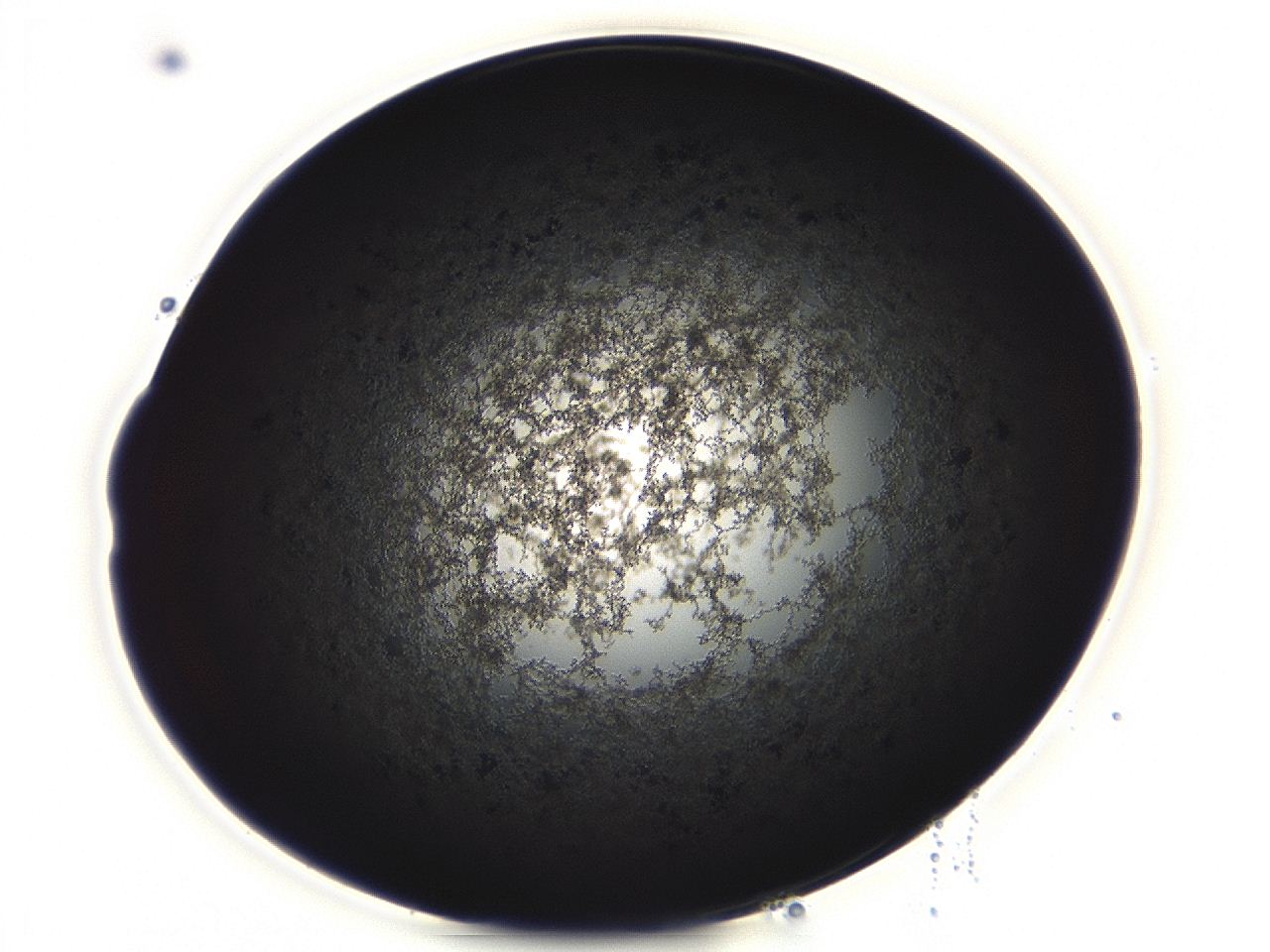 04ag_E5_ImagerDefaults_3.jpg