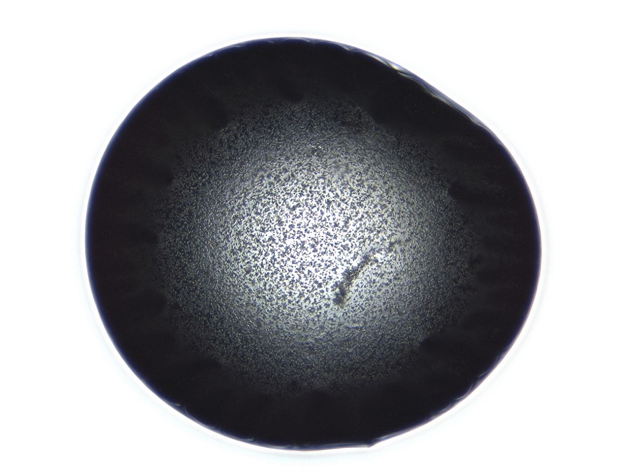 04ag_E6_ImagerDefaults_3.jpg