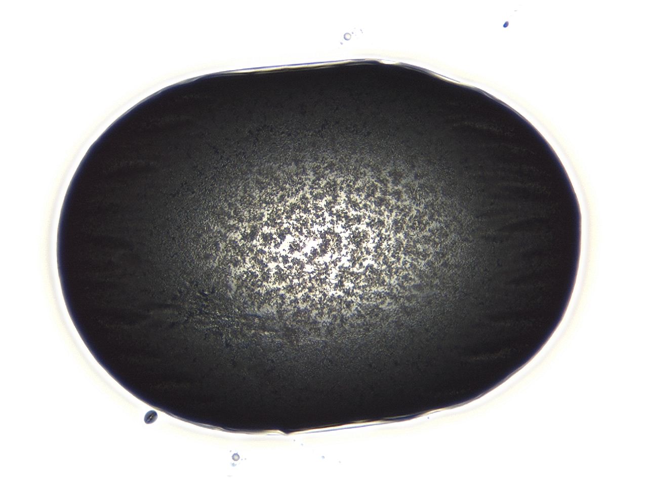 04ag_E7_ImagerDefaults_3.jpg