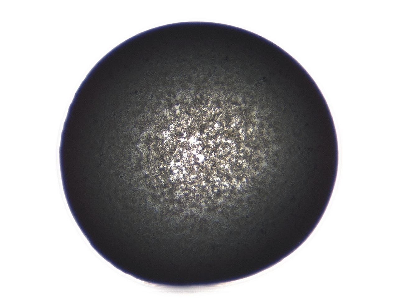 04ag_E8_ImagerDefaults_3.jpg