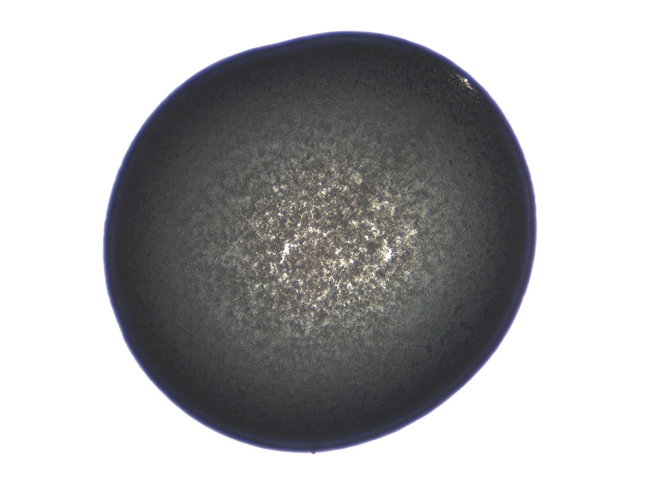 04ag_E9_ImagerDefaults_3.jpg