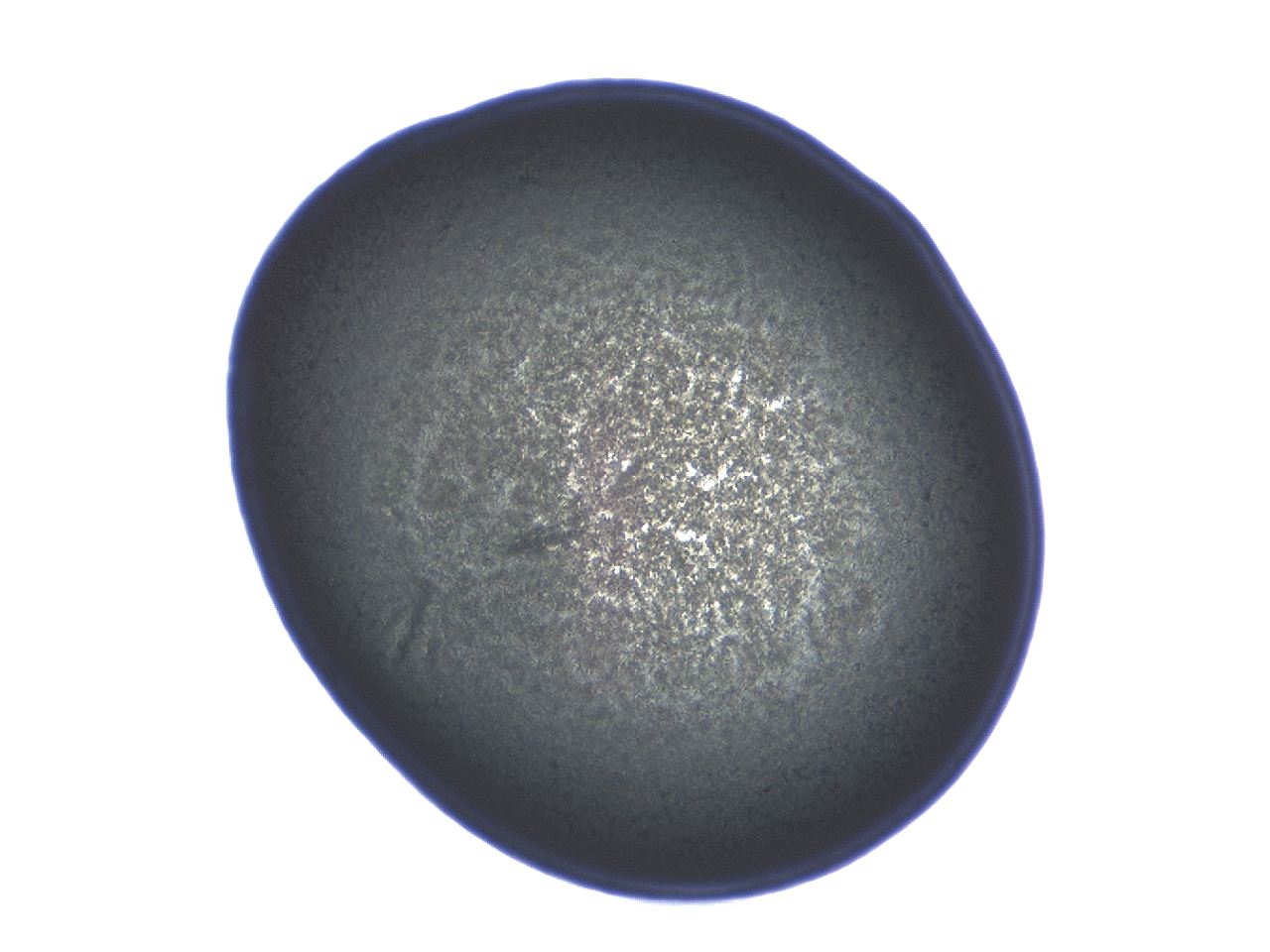 04ag_E10_ImagerDefaults_3.jpg