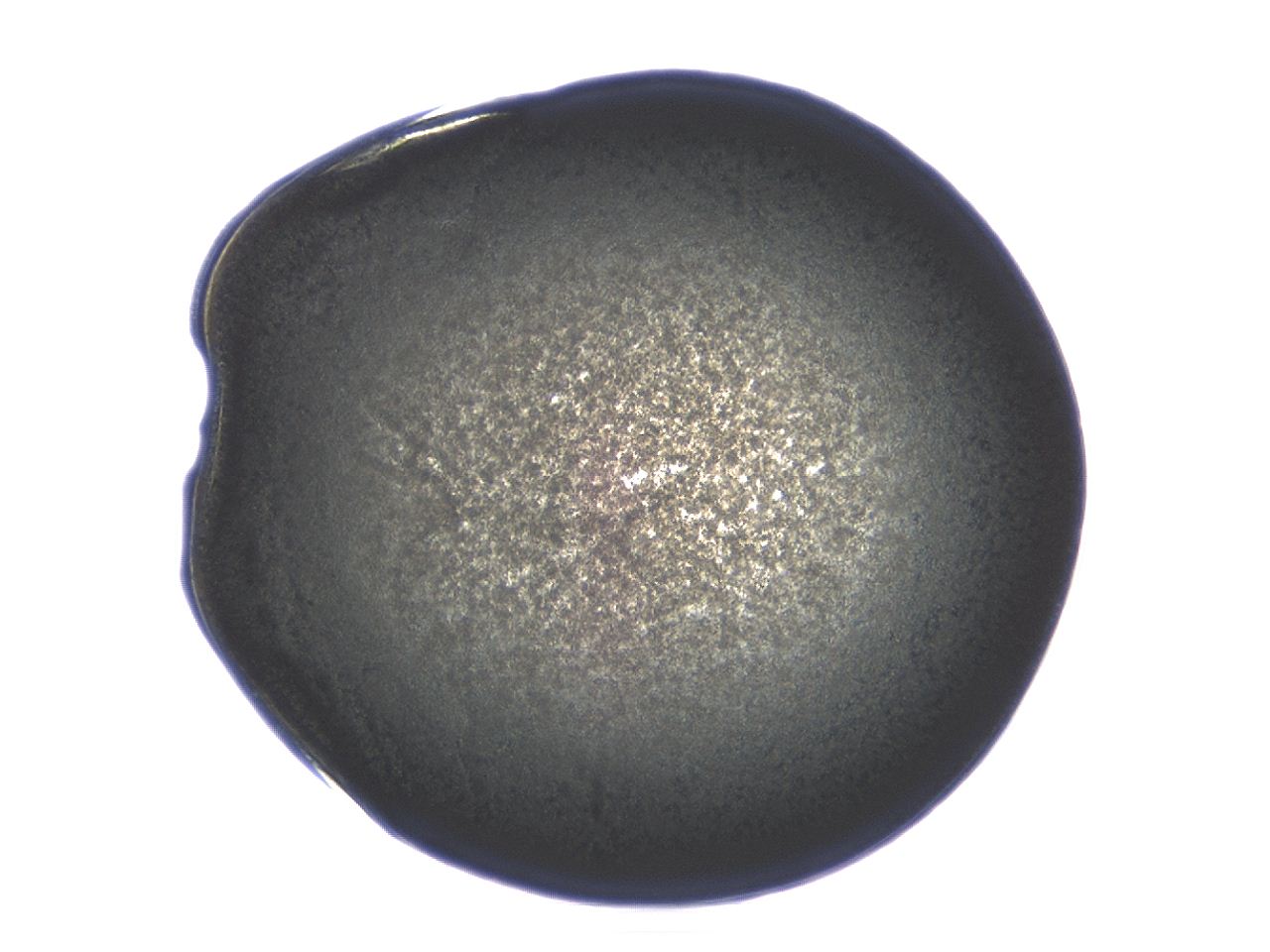 04ag_E11_ImagerDefaults_3.jpg