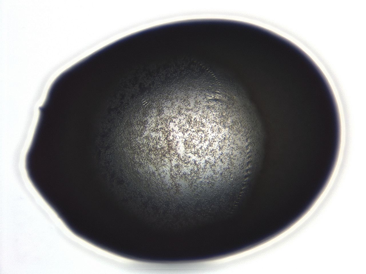 04ag_E12_ImagerDefaults_3.jpg