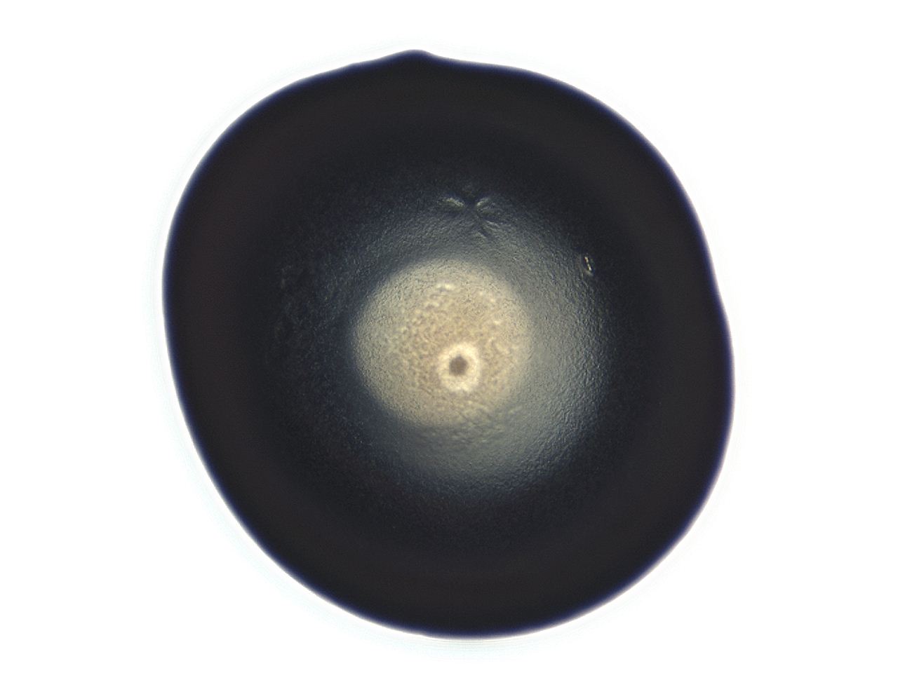 04ag_F10_ImagerDefaults_3.jpg