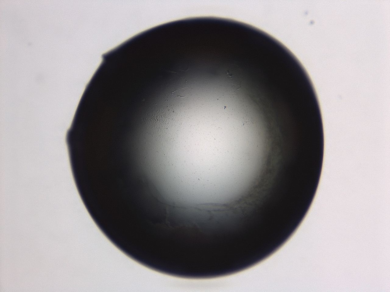 04ag_F12_ImagerDefaults_0.jpg