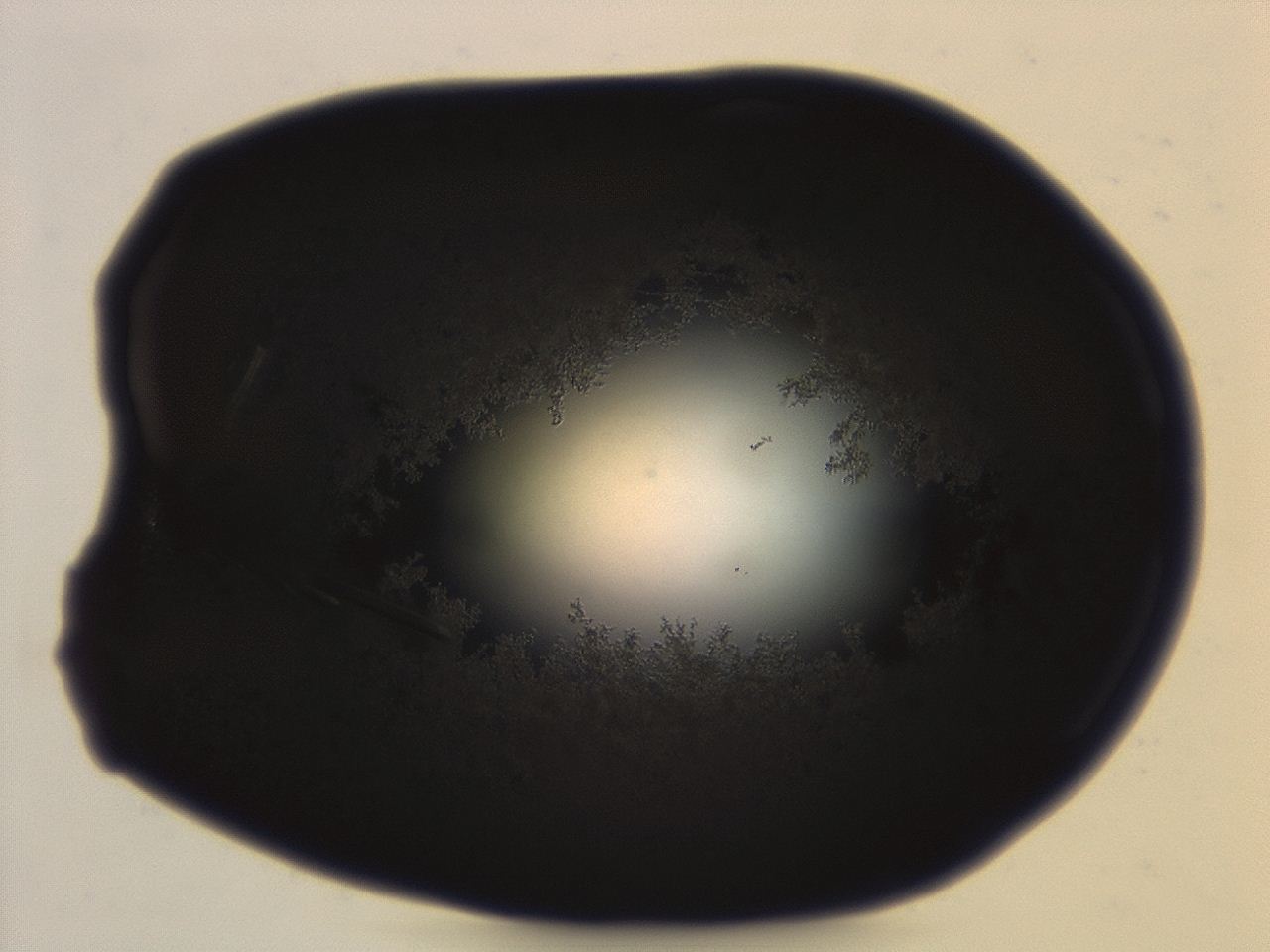 04ag_G2_ImagerDefaults_3.jpg