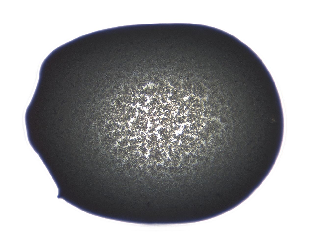 04ag_G5_ImagerDefaults_3.jpg