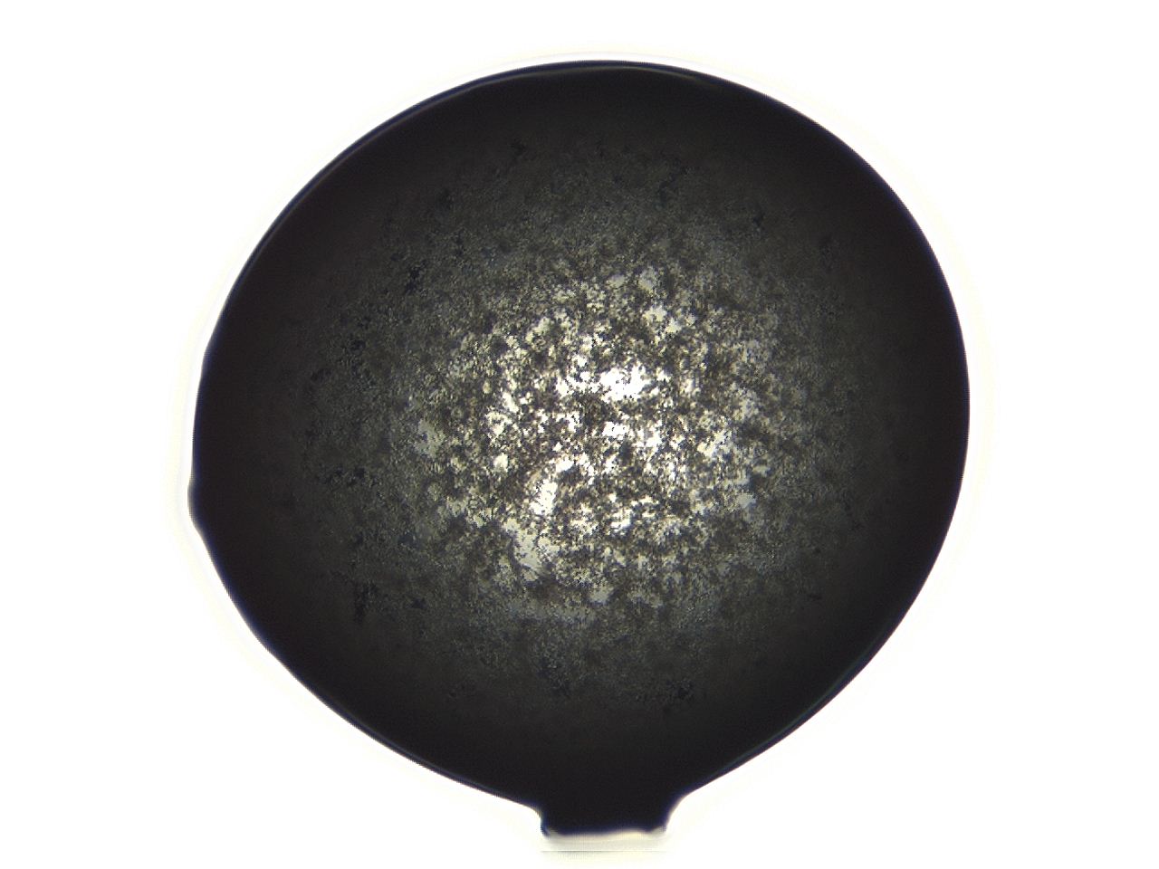 04ag_G6_ImagerDefaults_3.jpg