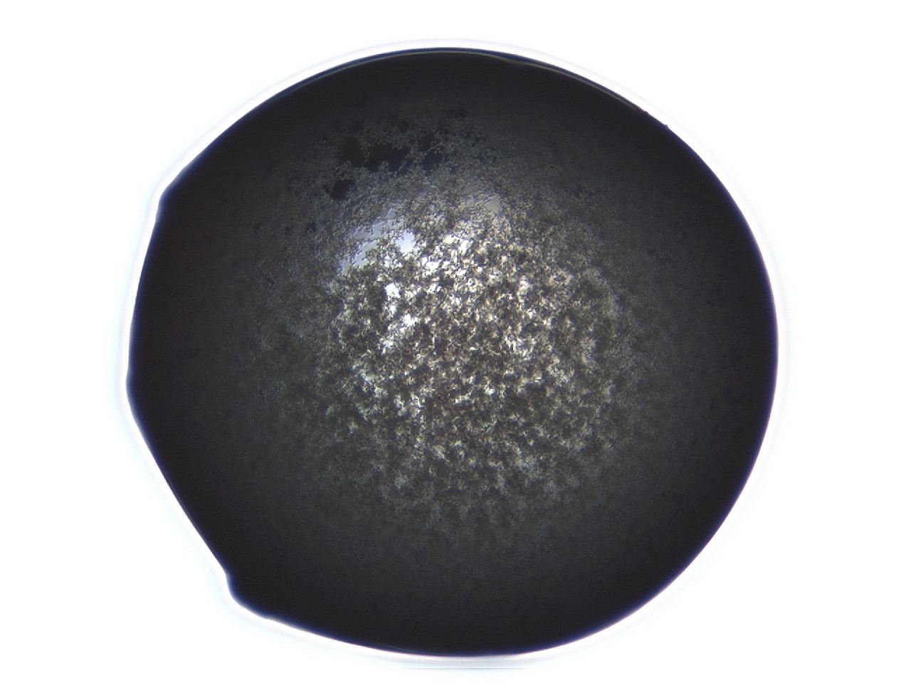 04ag_G7_ImagerDefaults_3.jpg