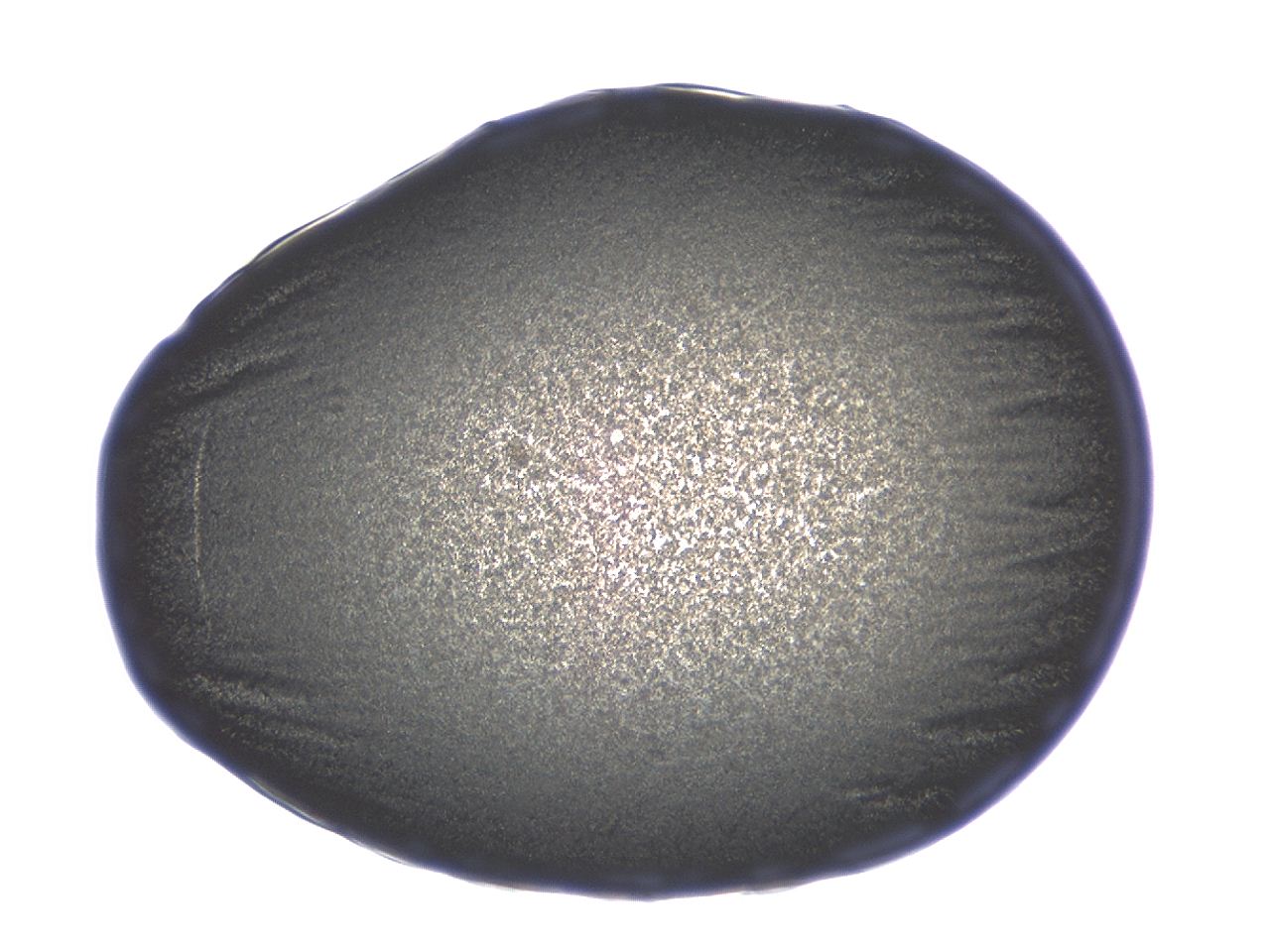 04ag_G8_ImagerDefaults_3.jpg