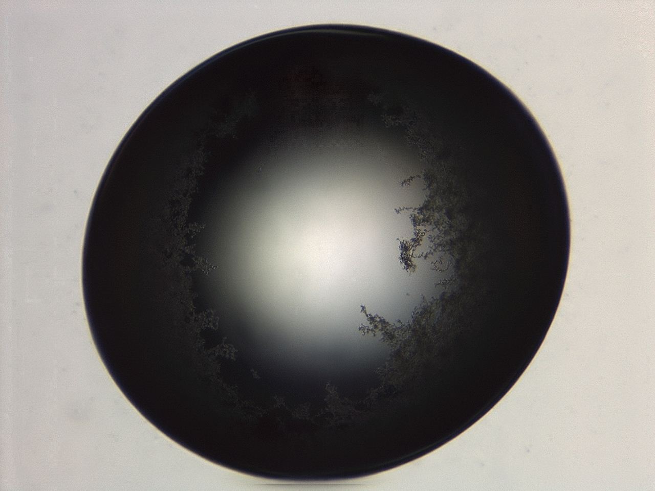 04ag_G9_ImagerDefaults_3.jpg