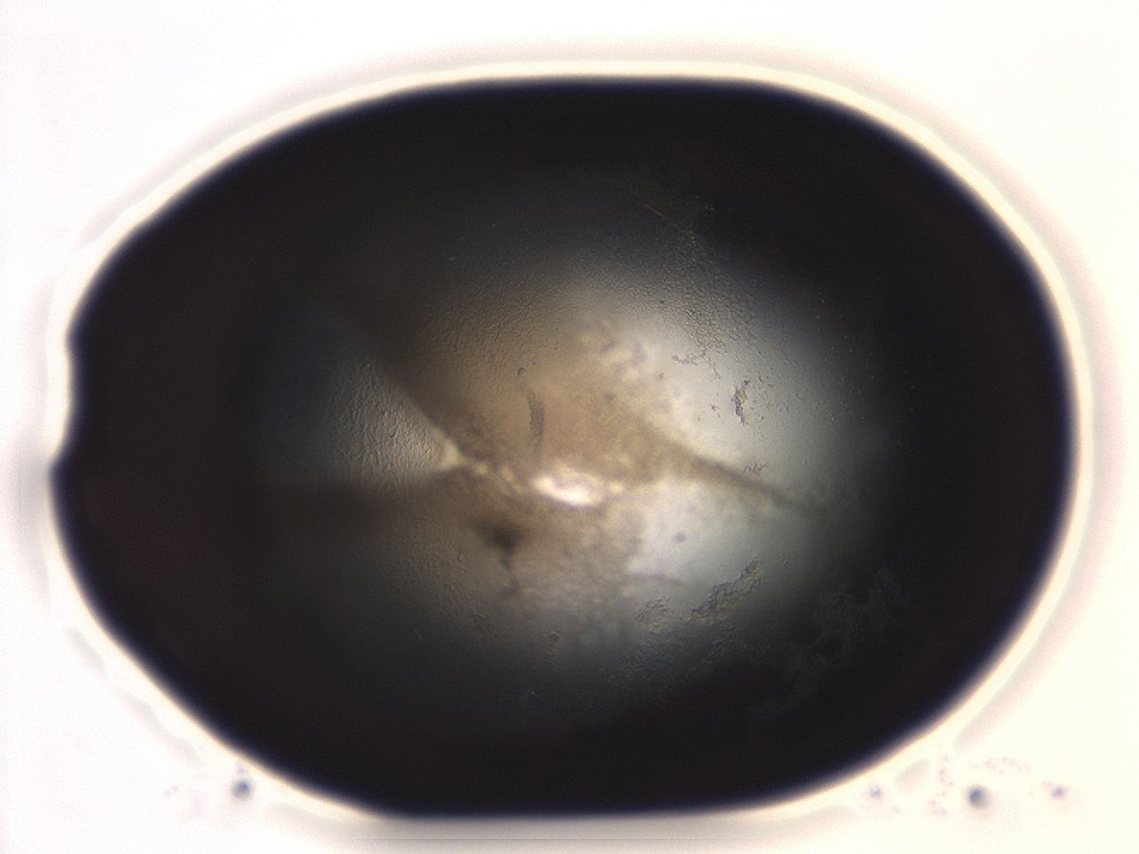 04ag_H2_ImagerDefaults_3.jpg