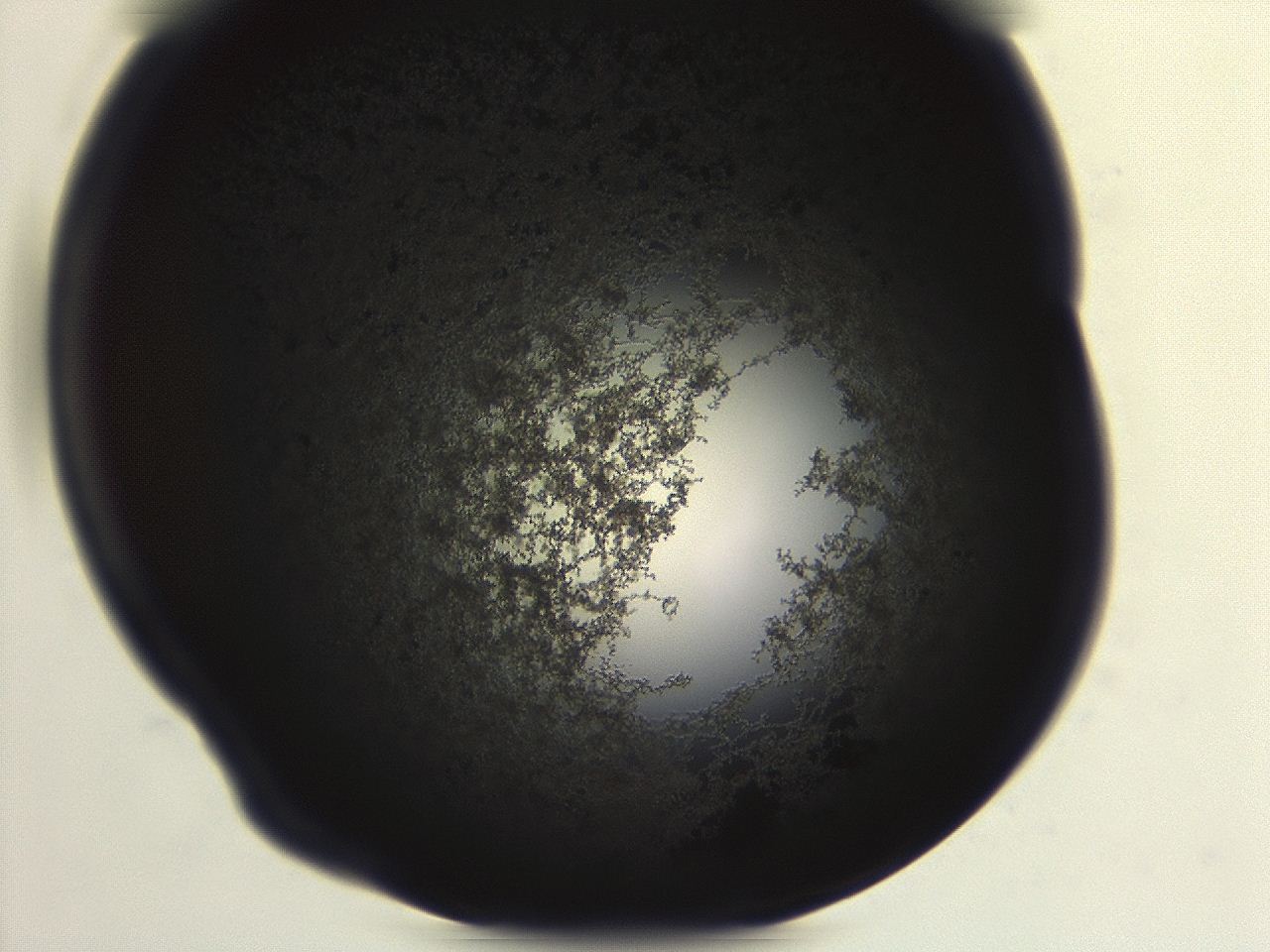 04ag_H7_ImagerDefaults_3.jpg
