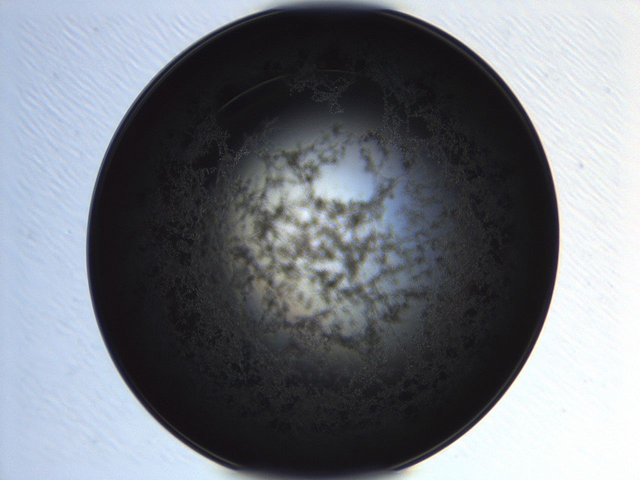 04ag_H9_ImagerDefaults_3.jpg
