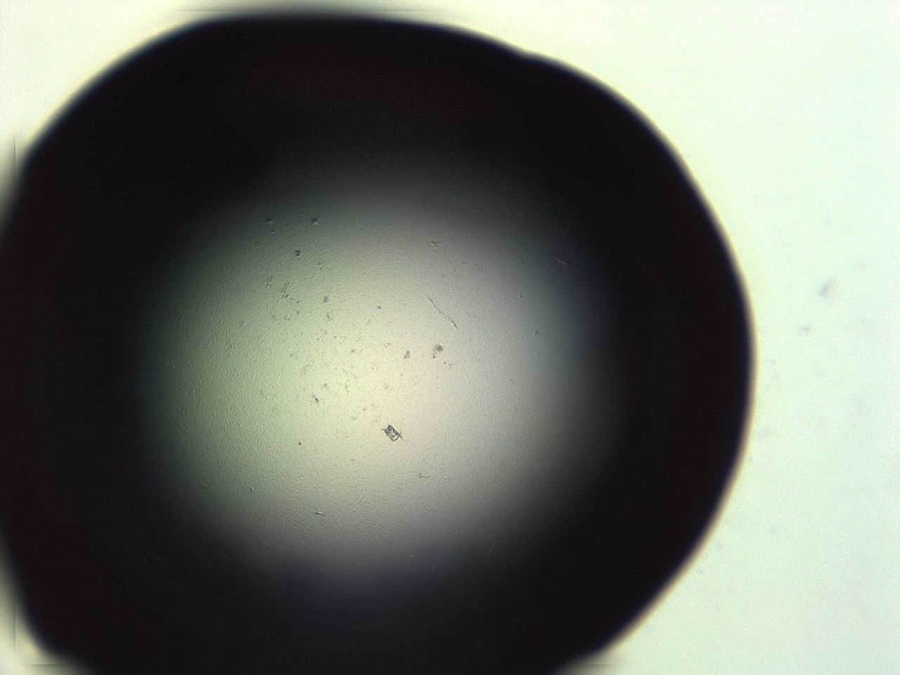 04ag_H11_ImagerDefaults_0.jpg