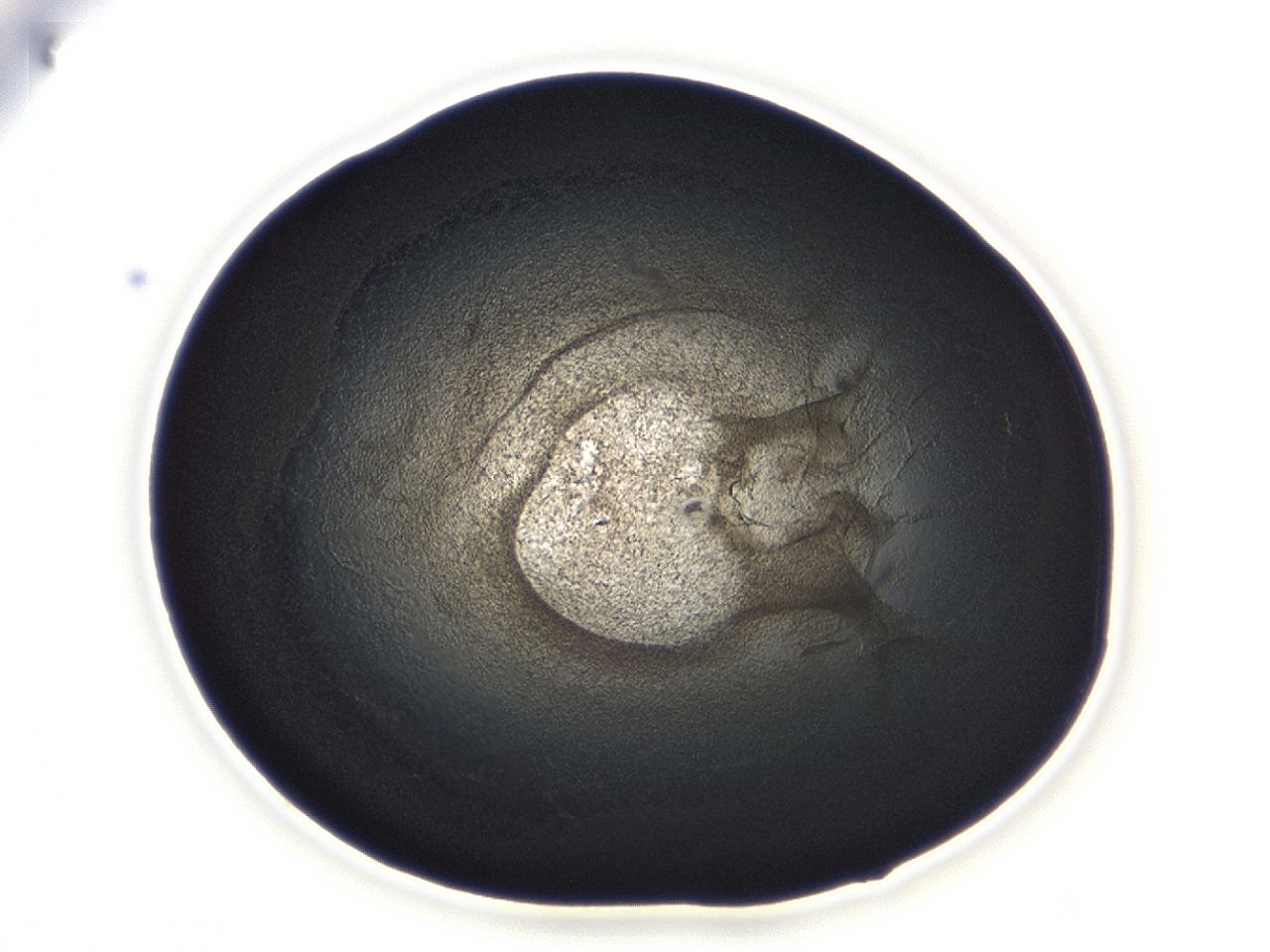 04ah_C8_ImagerDefaults_3.jpg