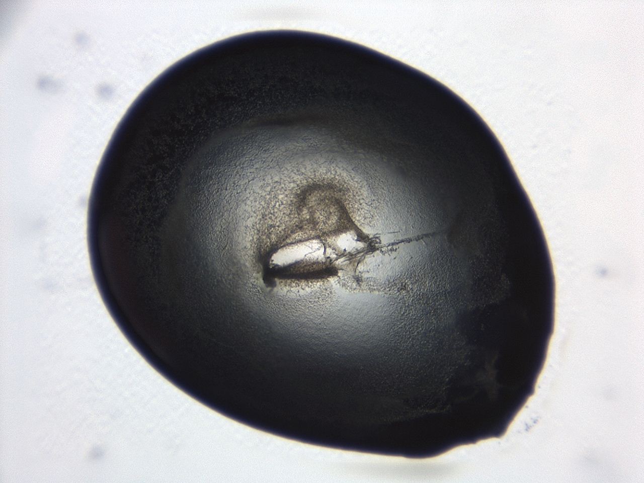 04ah_C11_ImagerDefaults_3.jpg