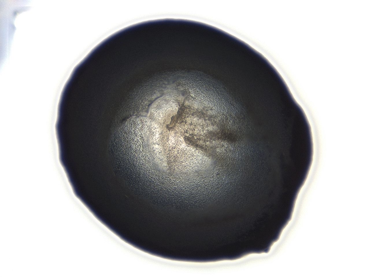 04ah_C12_ImagerDefaults_3.jpg