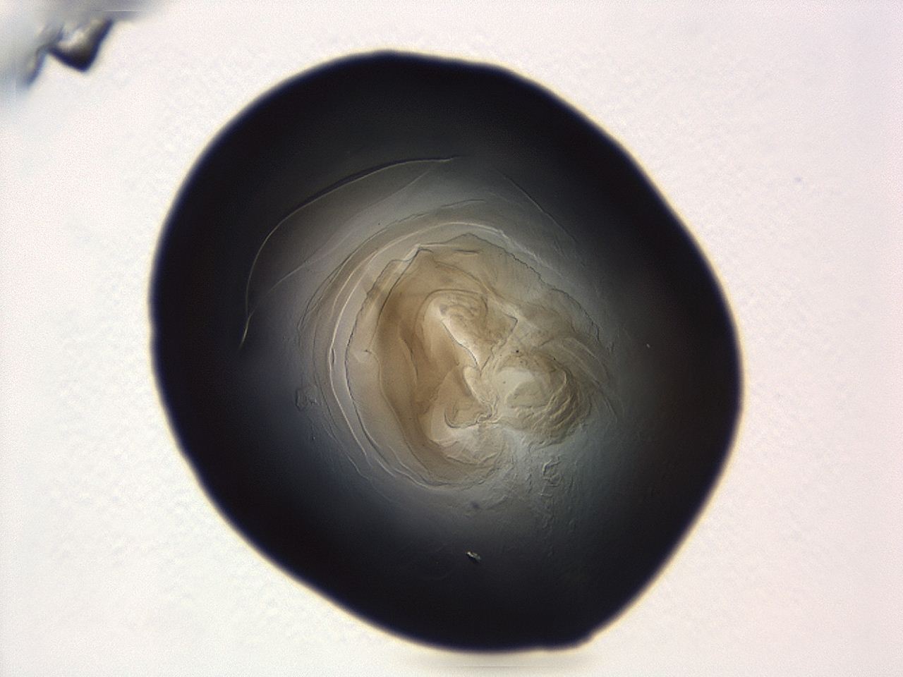 04ah_B1_ImagerDefaults_3.jpg