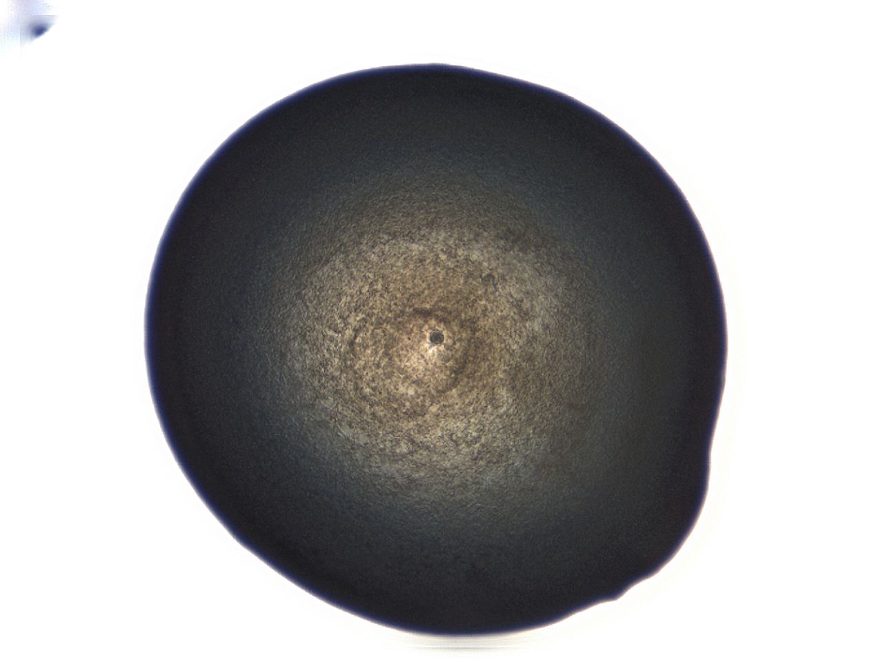 04ah_B2_ImagerDefaults_3.jpg