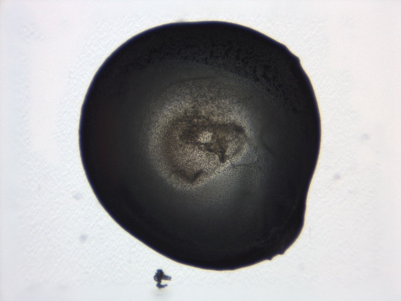 04ah_B11_ImagerDefaults_3.jpg