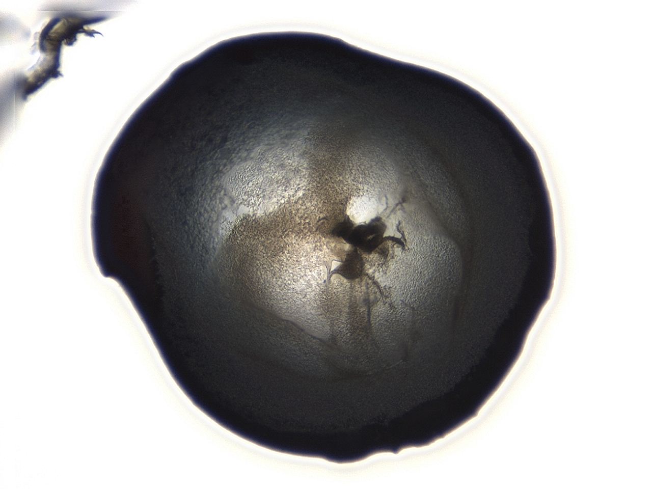 04ah_B12_ImagerDefaults_3.jpg