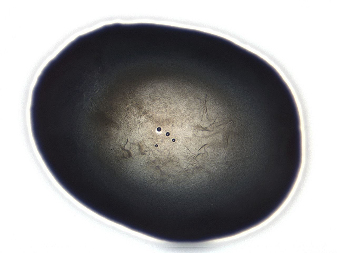 04ah_C1_ImagerDefaults_3.jpg