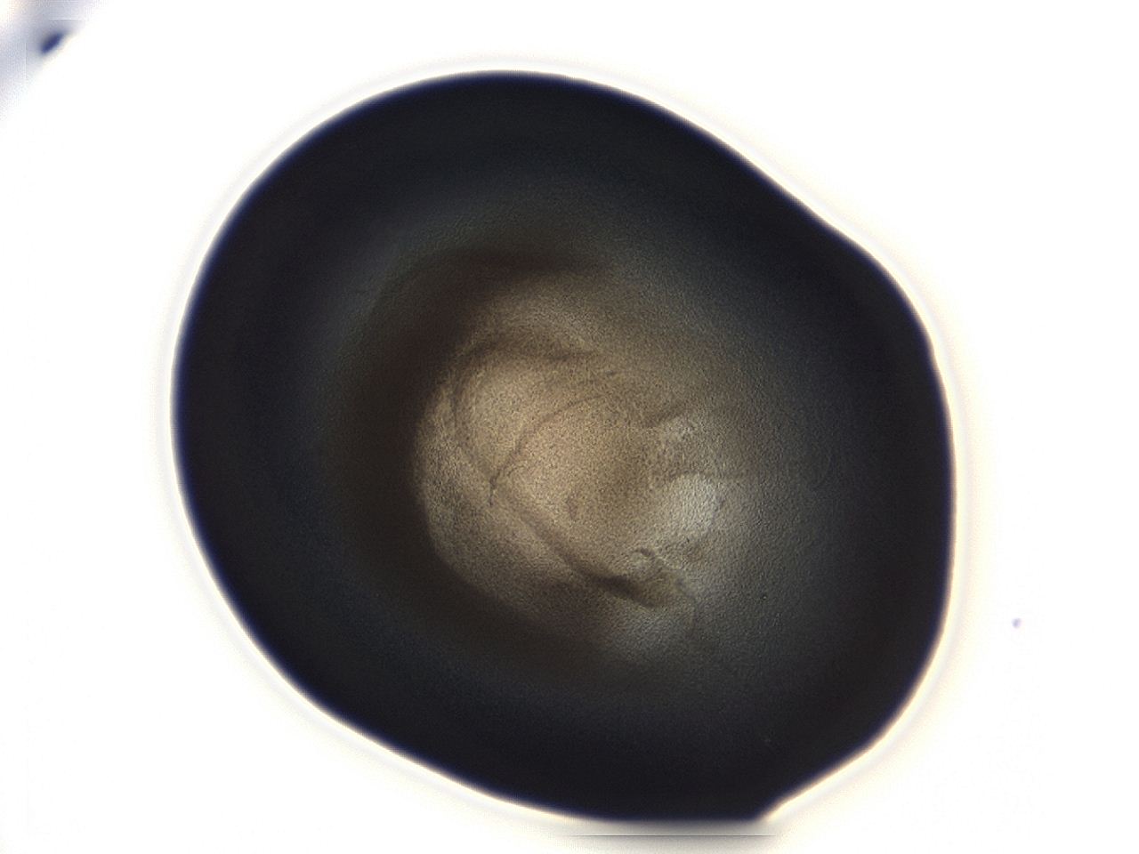 04ah_C2_ImagerDefaults_3.jpg