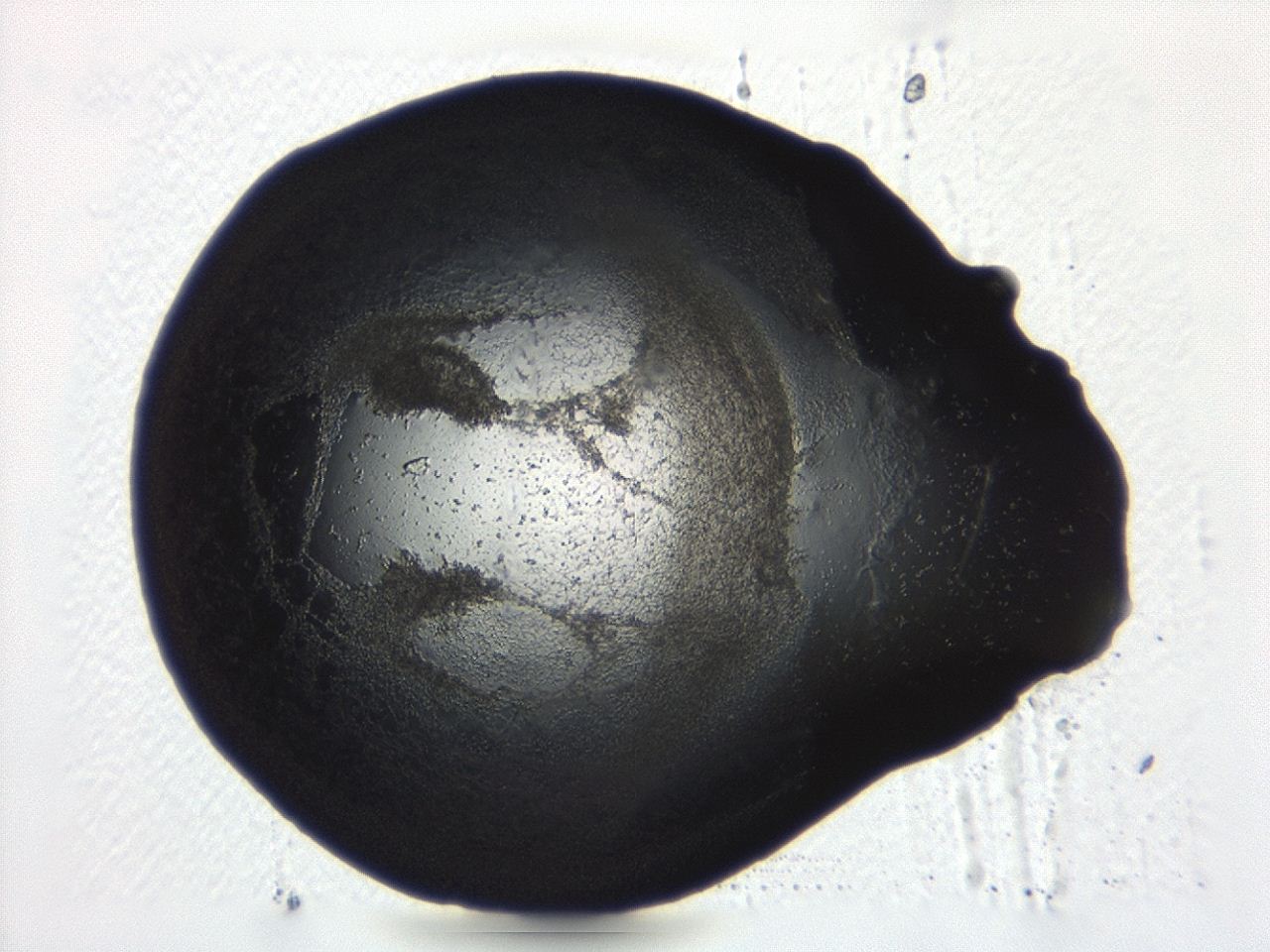 04ah_D5_ImagerDefaults_3.jpg