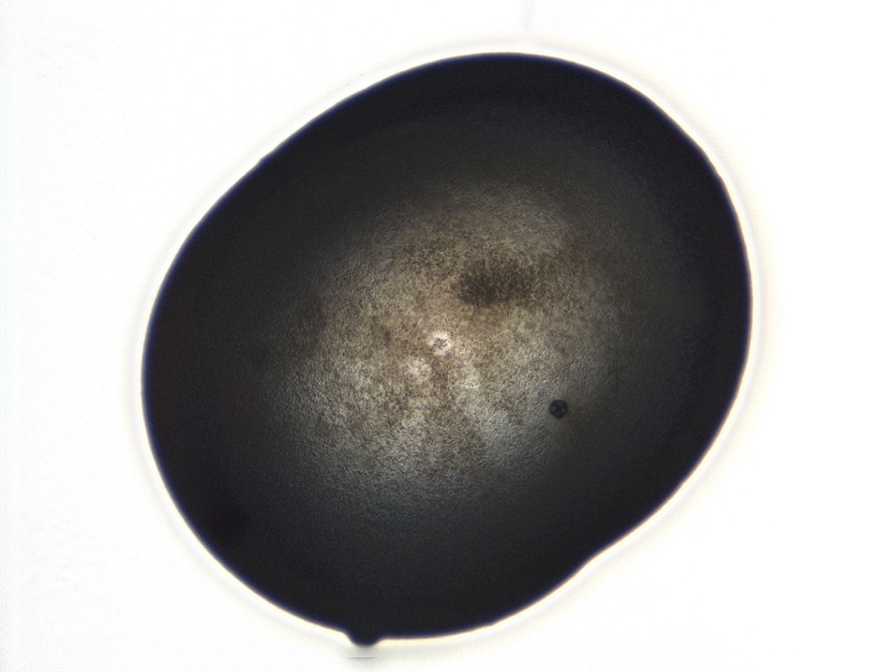 04ah_D7_ImagerDefaults_3.jpg
