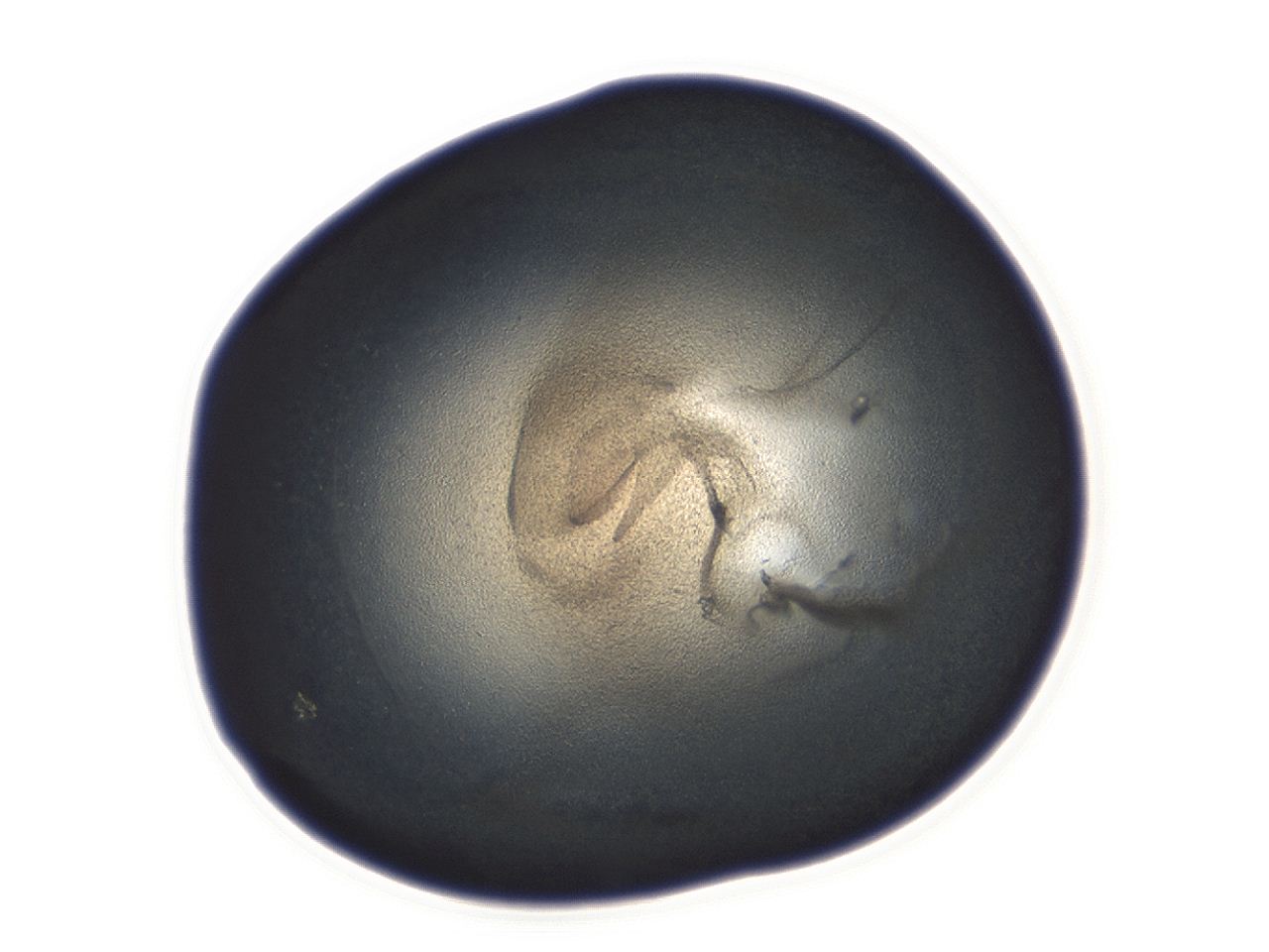 04ah_D11_ImagerDefaults_3.jpg
