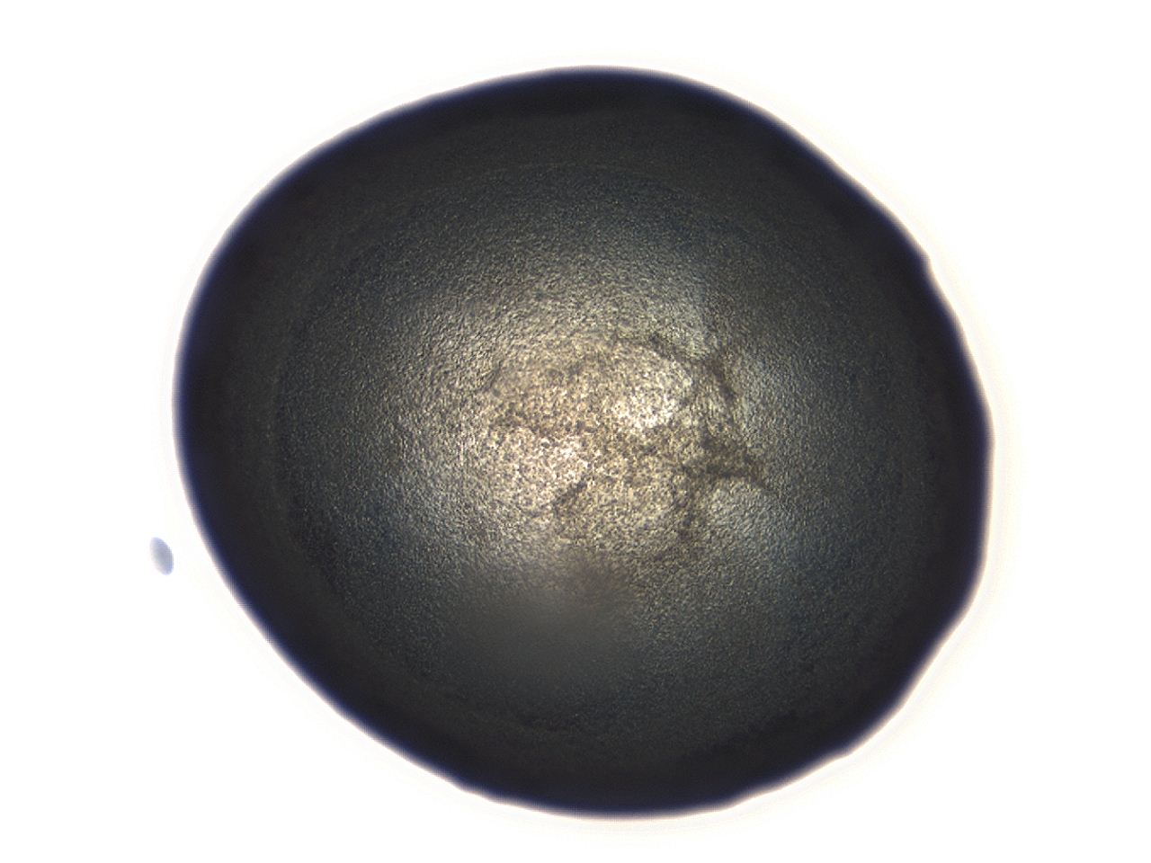 04ah_D12_ImagerDefaults_3.jpg