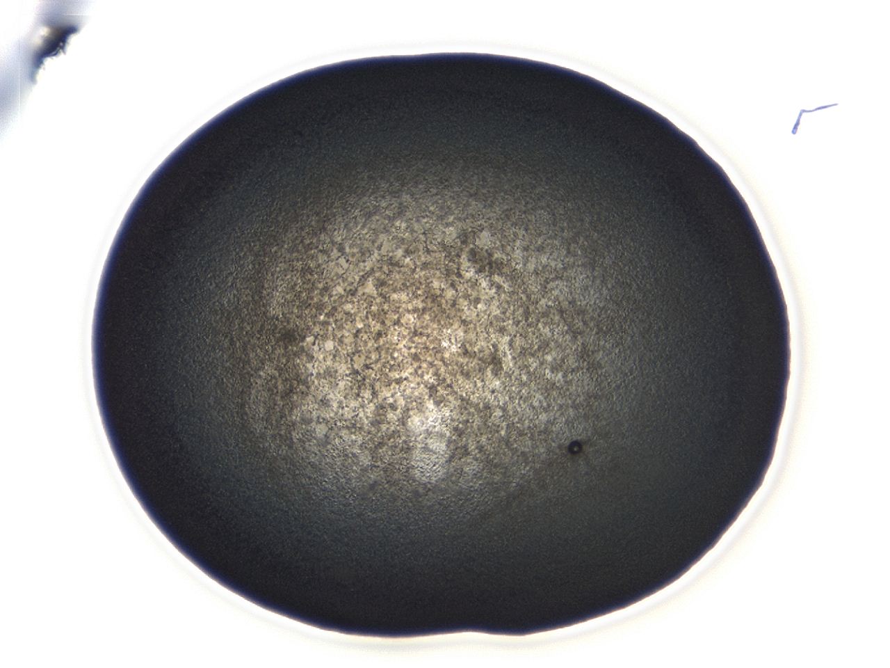 04ah_C6_ImagerDefaults_3.jpg