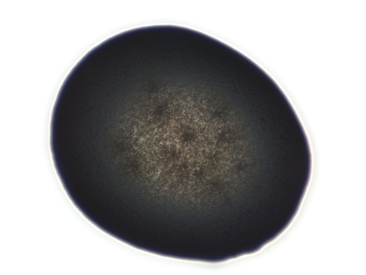 04ah_E2_ImagerDefaults_3.jpg