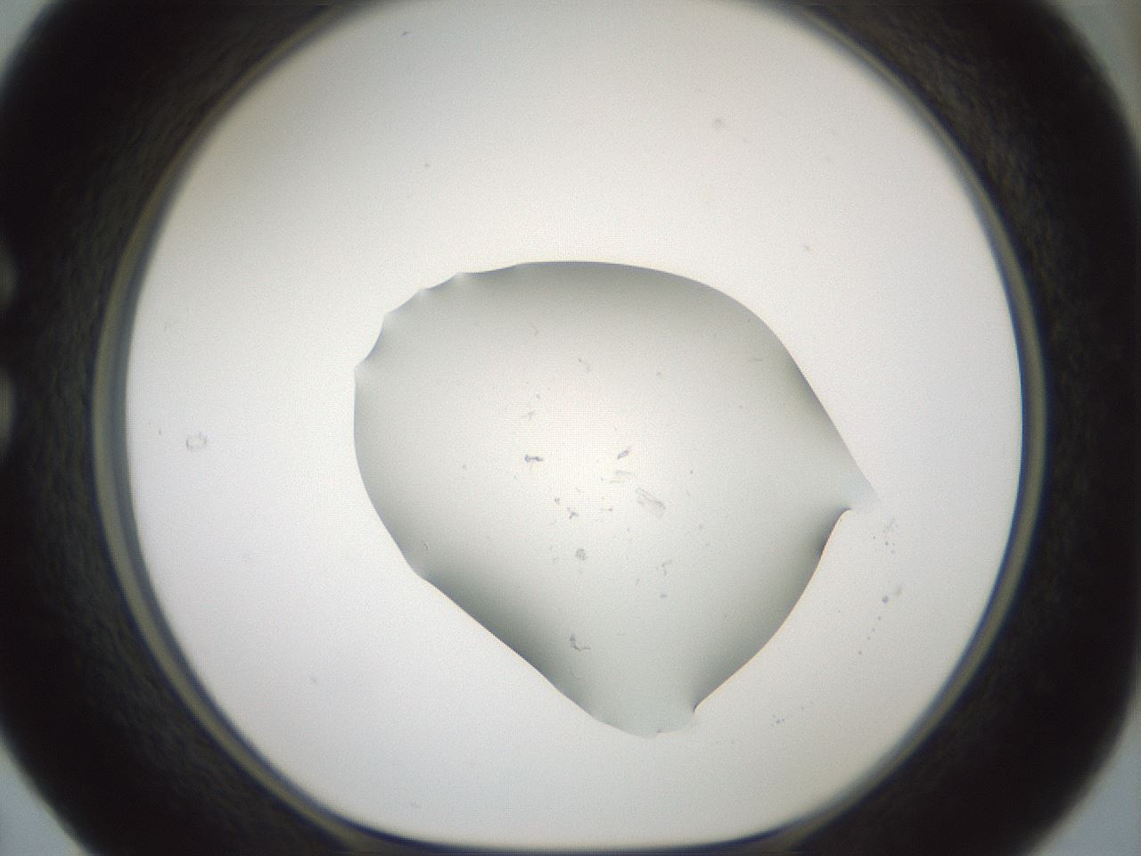folderID58_plateID3058_batchID19188_wellNum29_profileID1_d1_r259141_ef.jpg