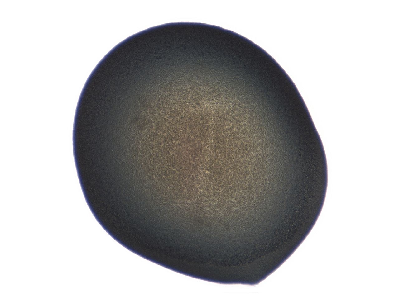 04ah_E8_ImagerDefaults_3.jpg