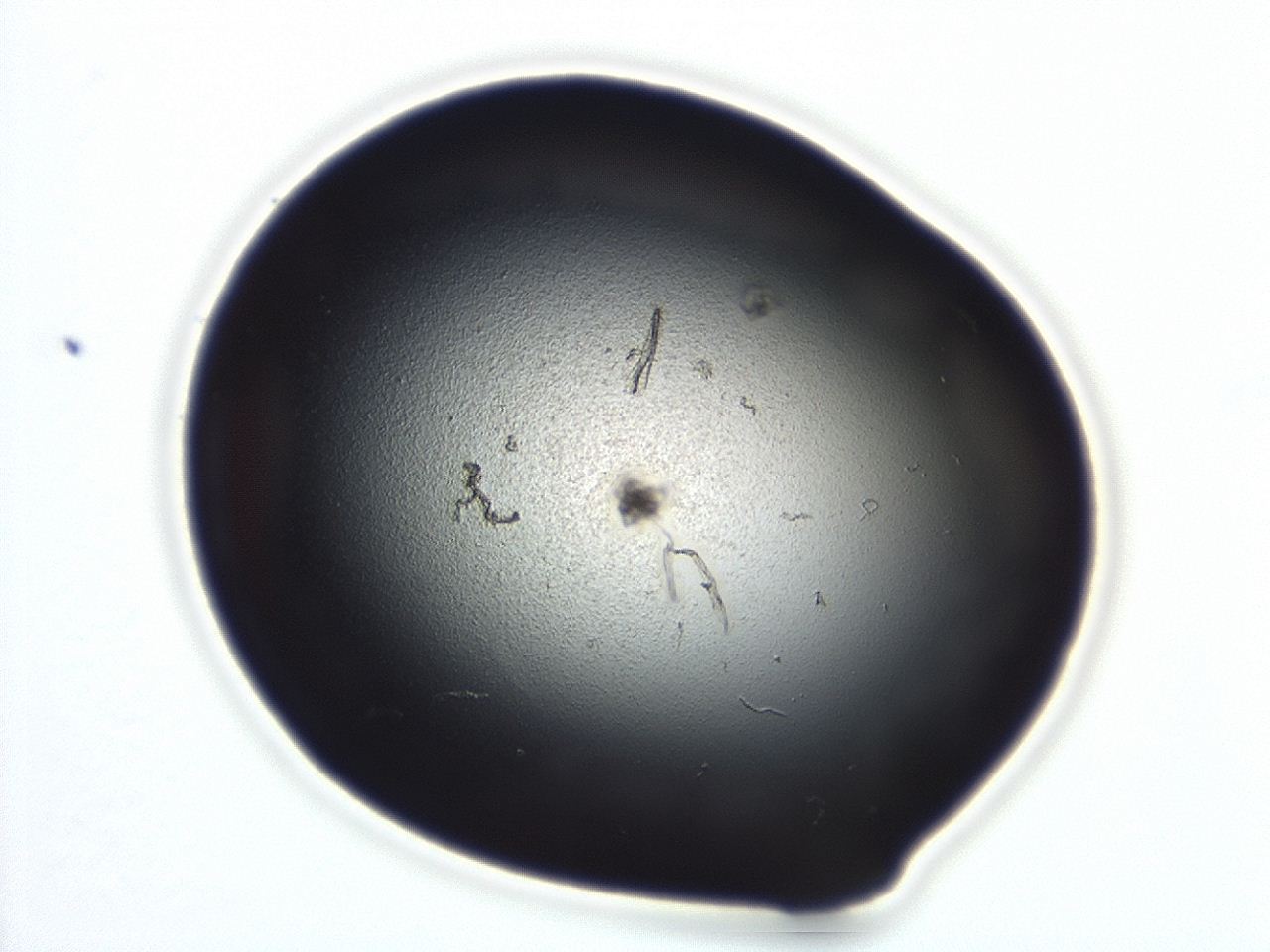 04ah_E10_ImagerDefaults_0.jpg