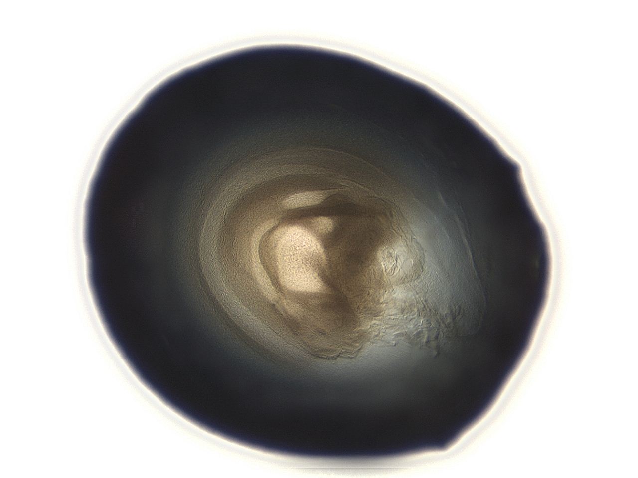 04ah_F1_ImagerDefaults_3.jpg